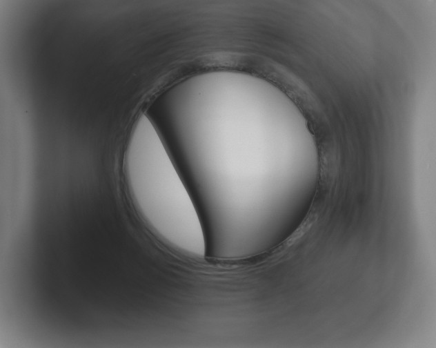 X0000102280168200807250948