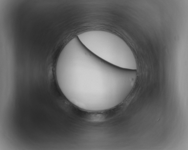 X0000102280169200807250948