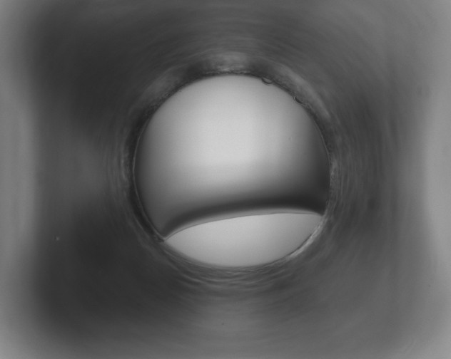 X0000102280170200807250948