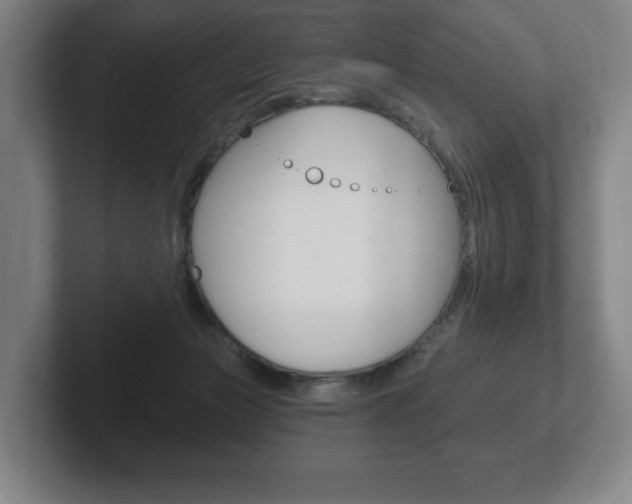 X0000102280173200807250948
