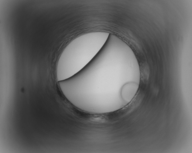 X0000102280175200807250948