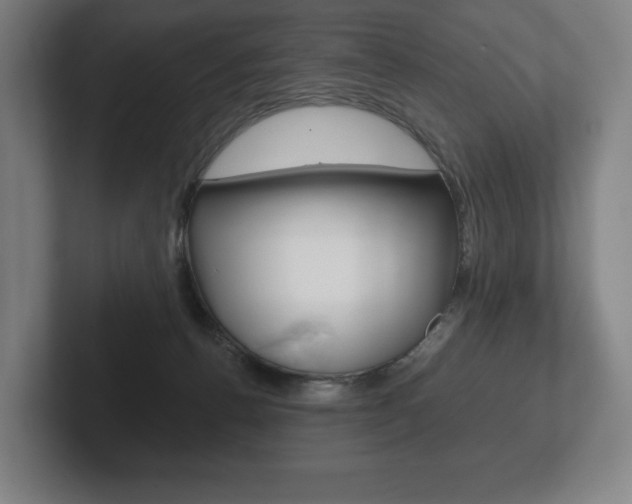 X0000102280176200807250948