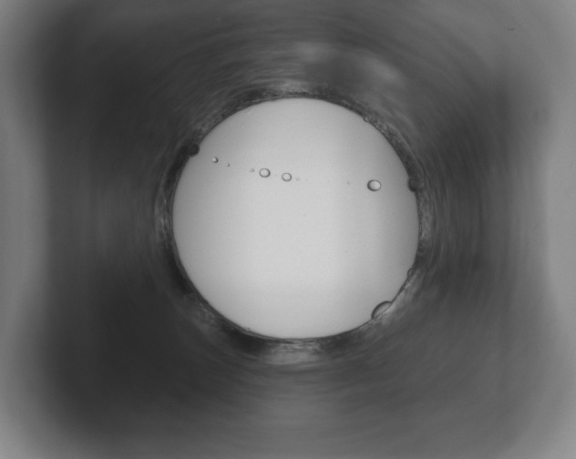 X0000102280179200807250948