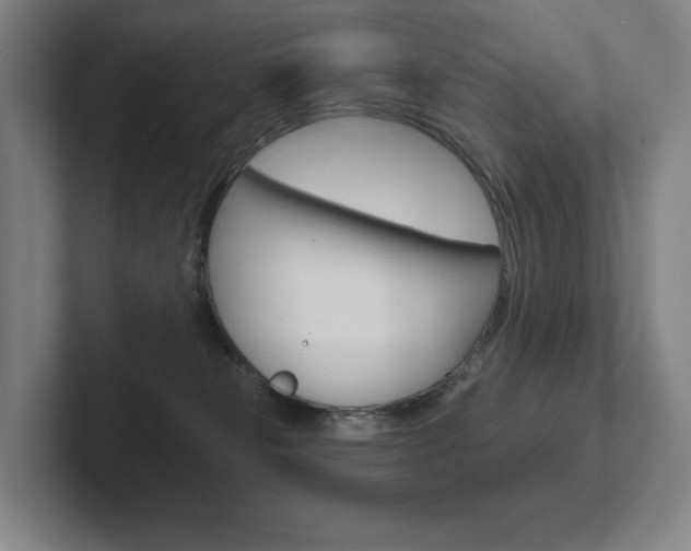 X0000102280181200807250948