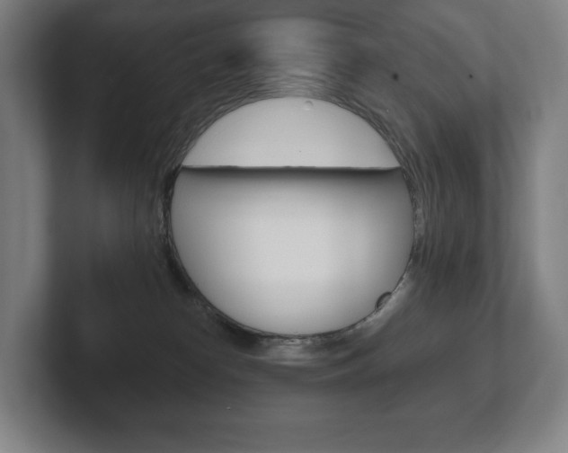 X0000102280182200807250948