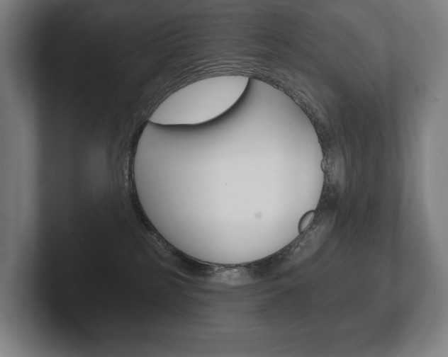X0000102280185200807250948