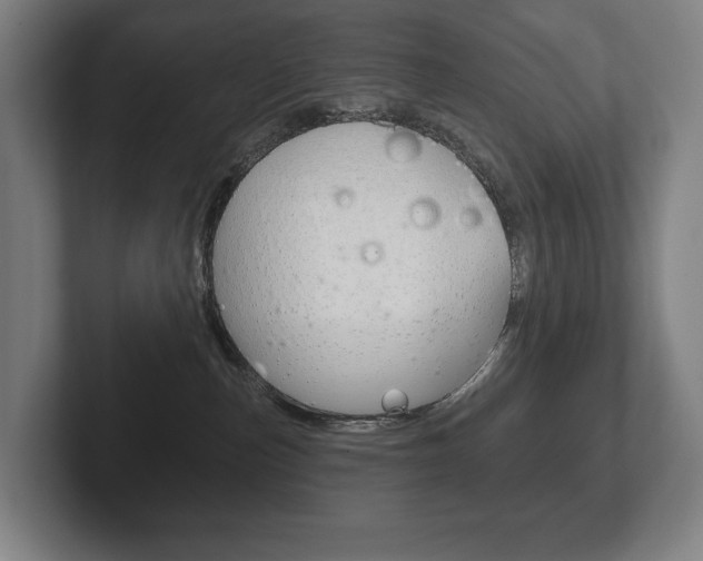 X0000102280187200807250948