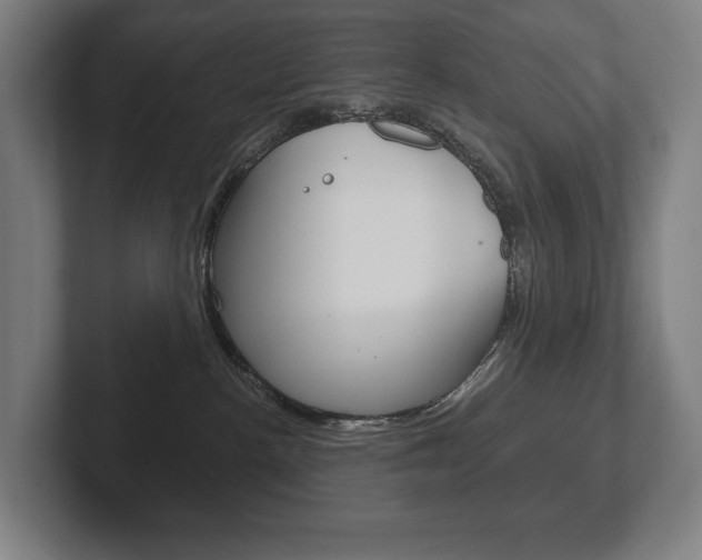 X0000102280188200807250948