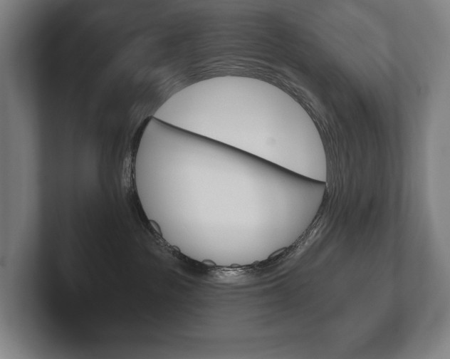 X0000102280189200807250948
