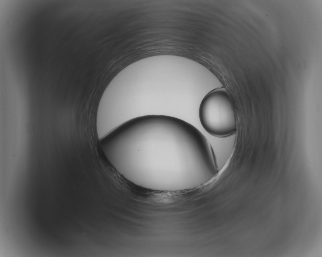 X0000102280190200807250948