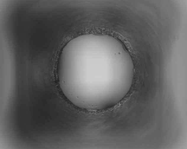 X0000102280192200807250948