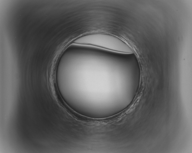 X0000102280193200807250948