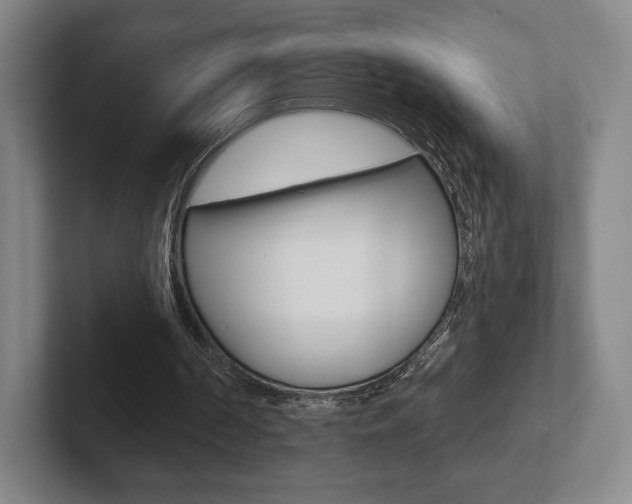 X0000102280194200807250948