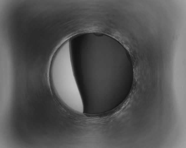 X0000102280196200807250948