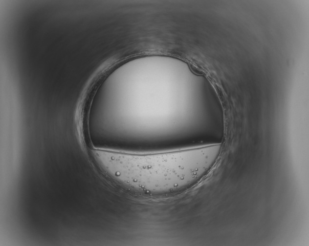 X0000102280197200807250948