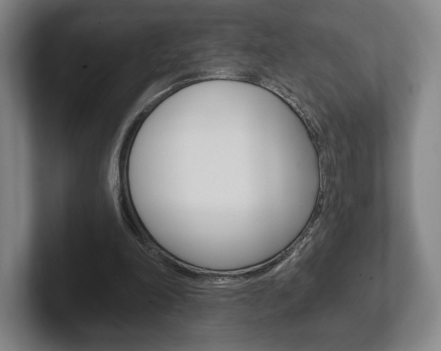 X0000102280198200807250948