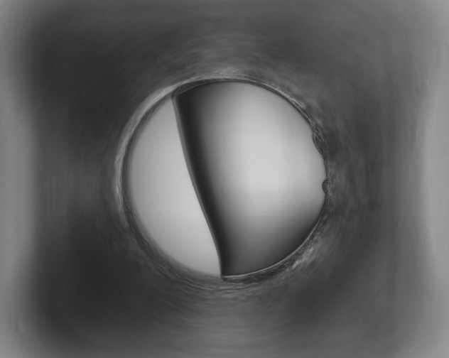 X0000102280200200807250948