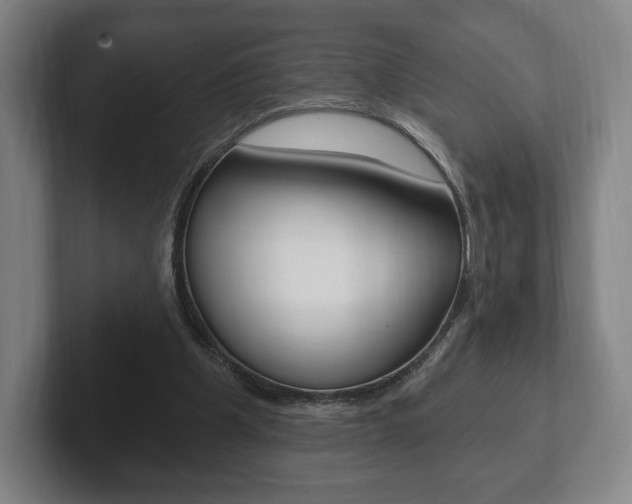 X0000102280201200807250948