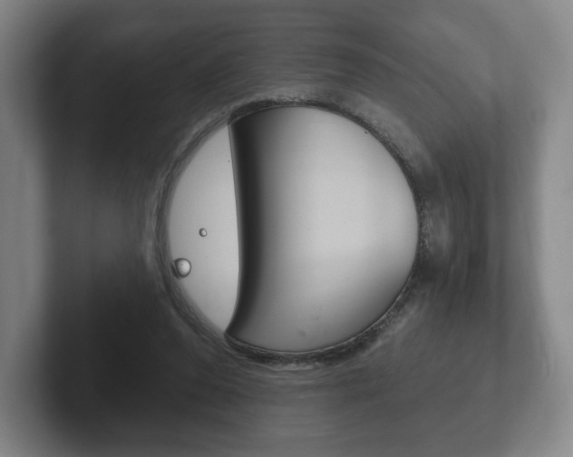 X0000102280208200807250947