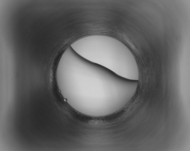 X0000102280211200807250947
