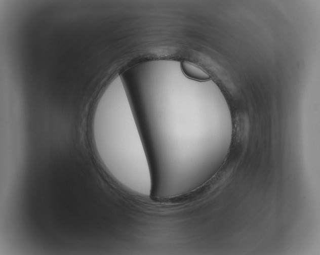 X0000102280212200807250947