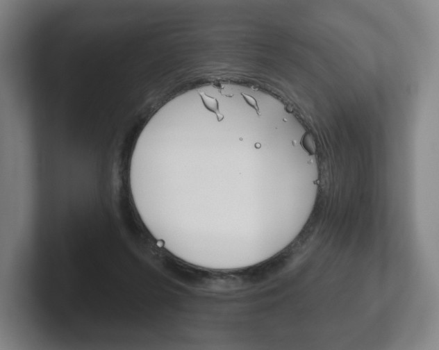 X0000102280215200807250947