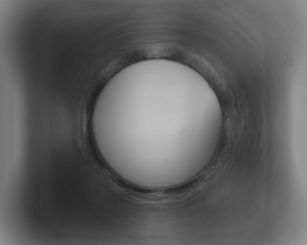 X0000102280219200807250947