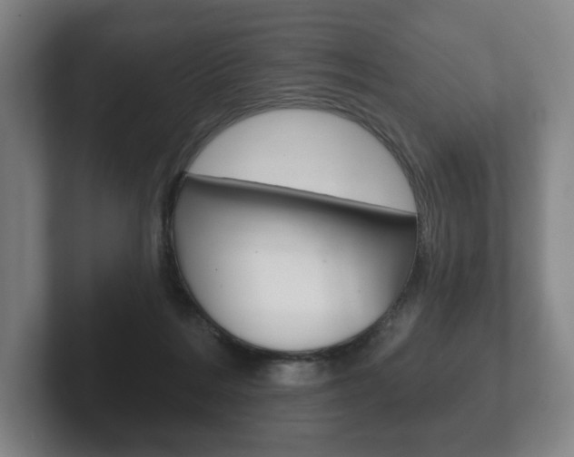 X0000102280220200807250947