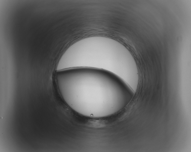 X0000102280221200807250947