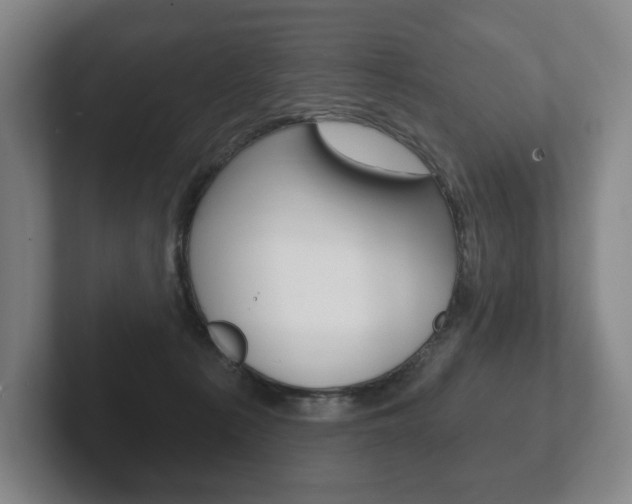 X0000102280225200807250947