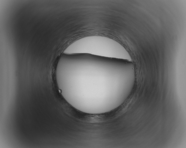 X0000102280229200807250947
