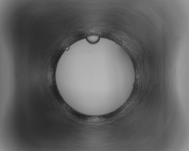 X0000102280231200807250947