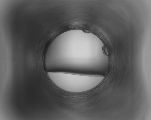 X0000102280232200807250947