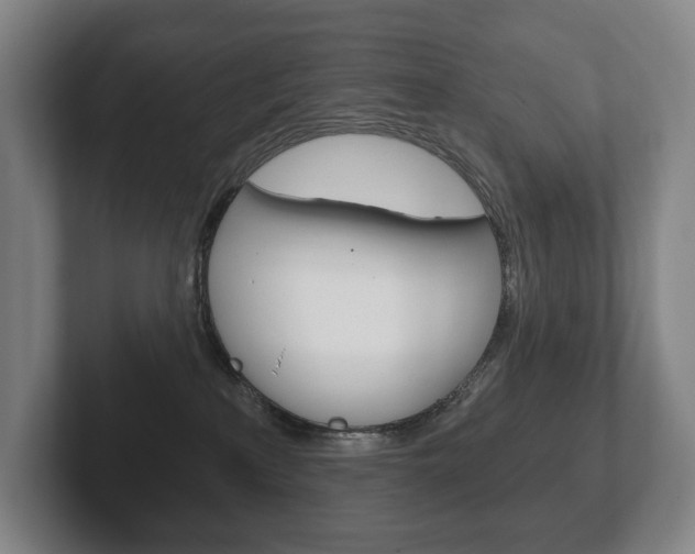 X0000102280233200807250947
