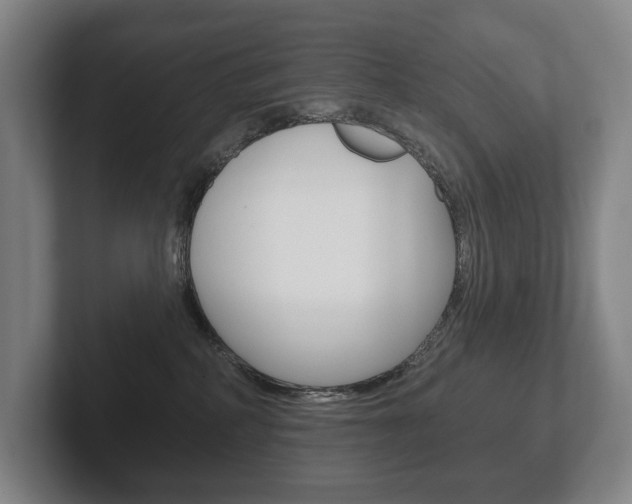 X0000102280234200807250947