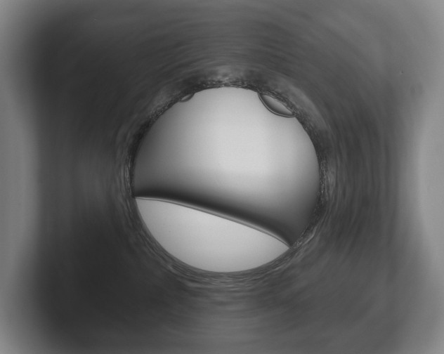 X0000102280236200807250947