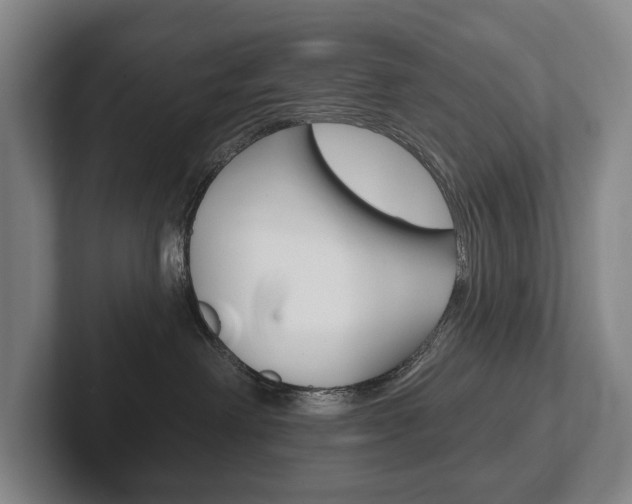 X0000102280238200807250947
