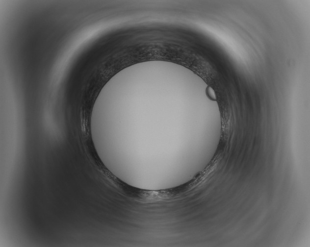 X0000102280239200807250947