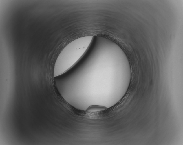 X0000102280240200807250947