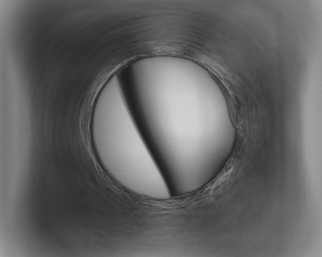 X0000102280241200807250946
