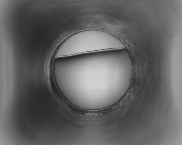 X0000102280242200807250946