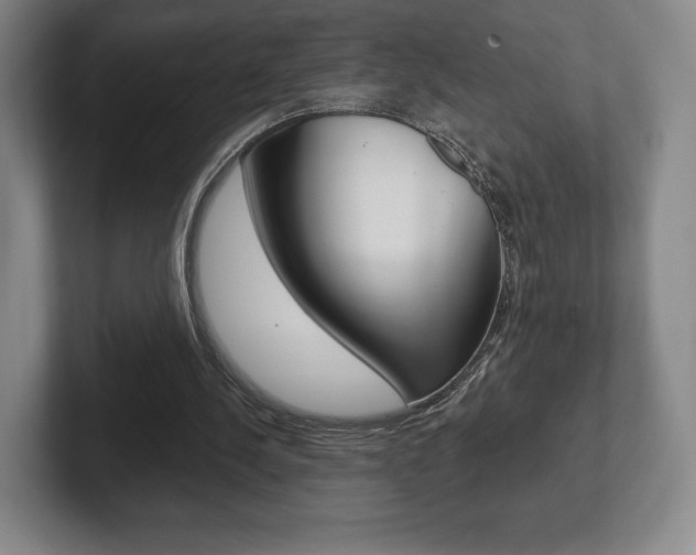 X0000102280244200807250946