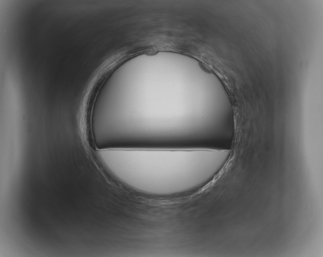 X0000102280245200807250946