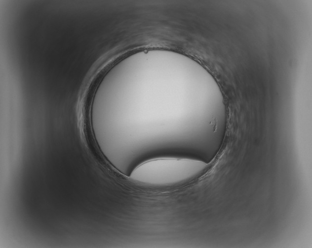 X0000102280247200807250947