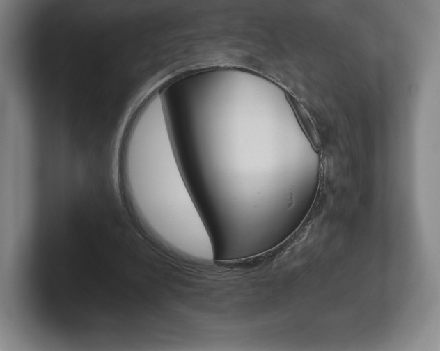 X0000102280248200807250947