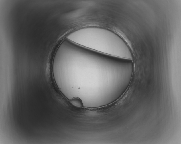X0000102280249200807250947