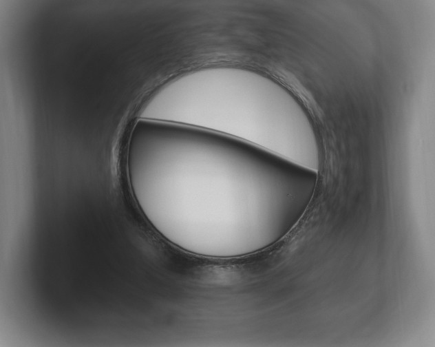 X0000102280250200807250947