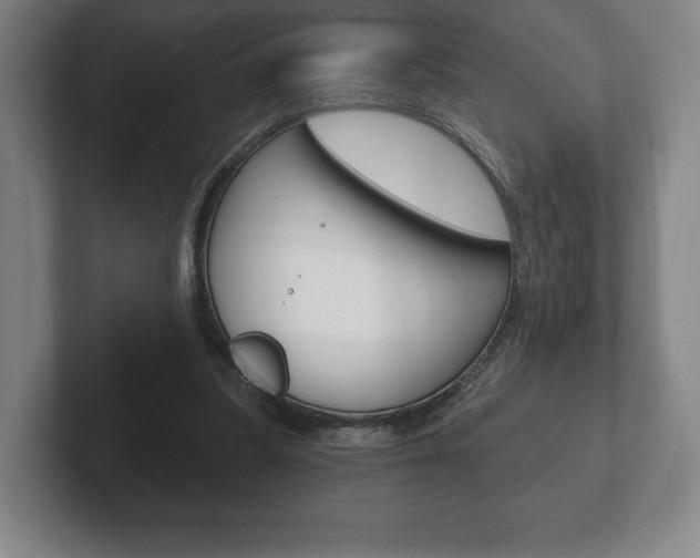 X0000102280251200807250947