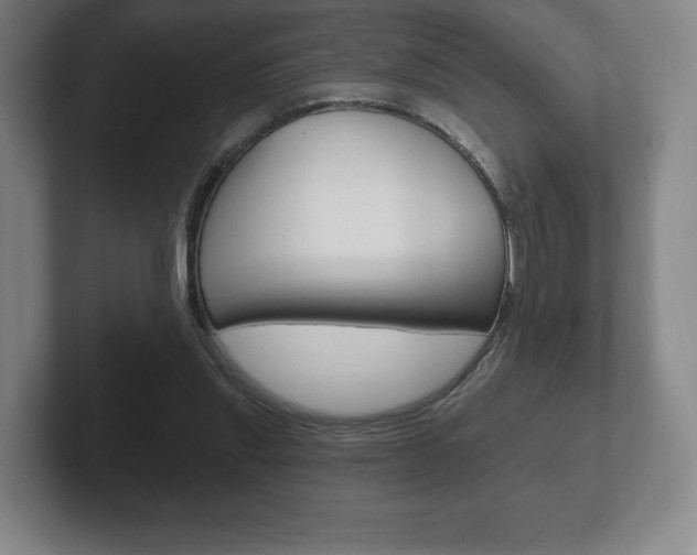 X0000102280253200807250947