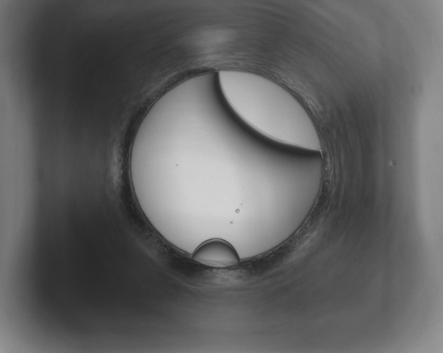 X0000102280255200807250947